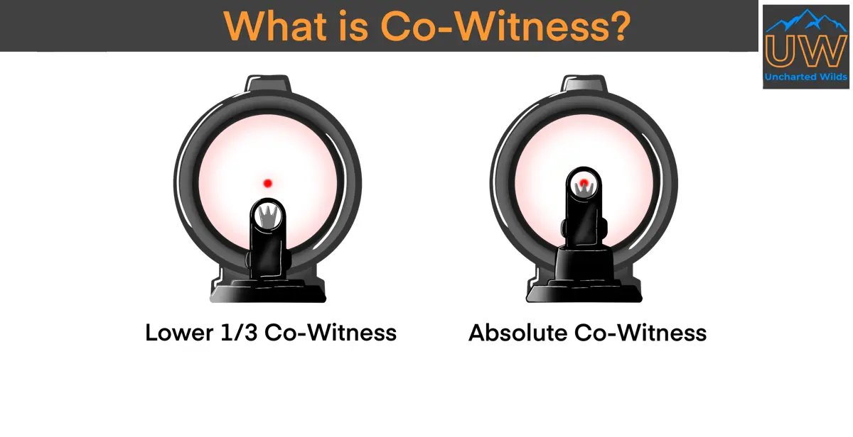 What is Co Witness Sights 1