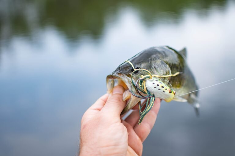 The Ultimate Guide To Fly Fishing For Bass – Tips & Tricks