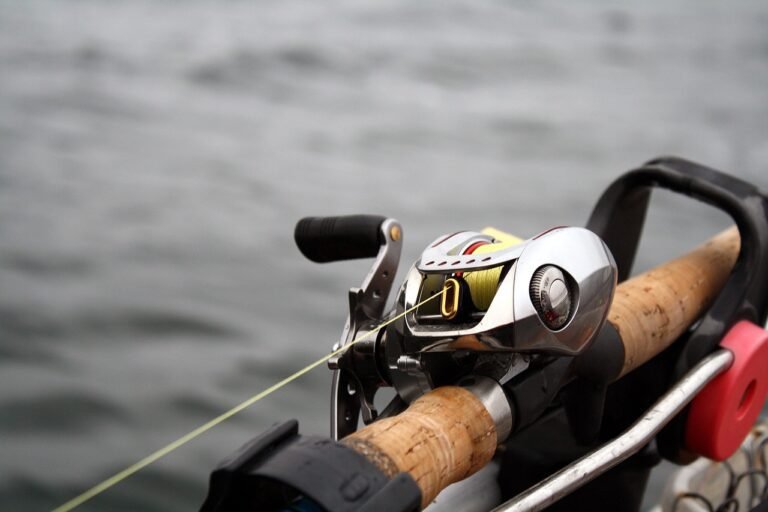 5 Types of Fishing Reels – An In-Depth Guide