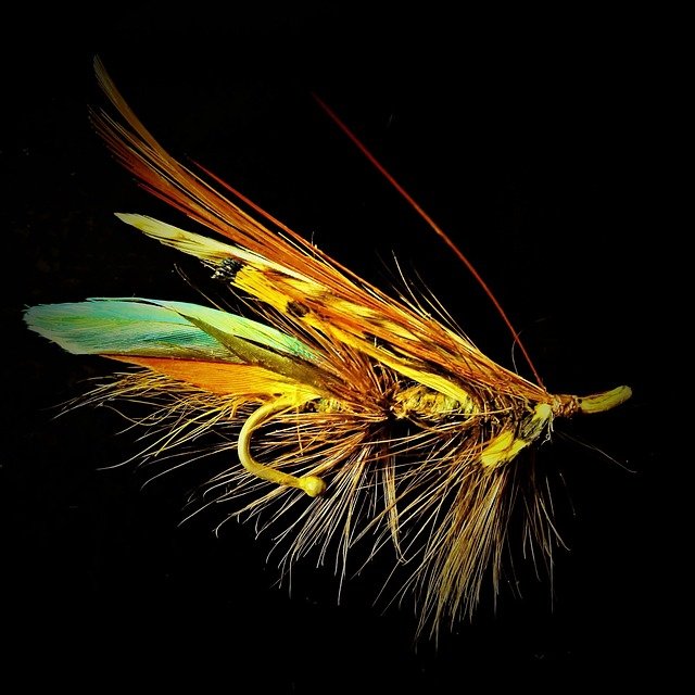 Salmon Fly